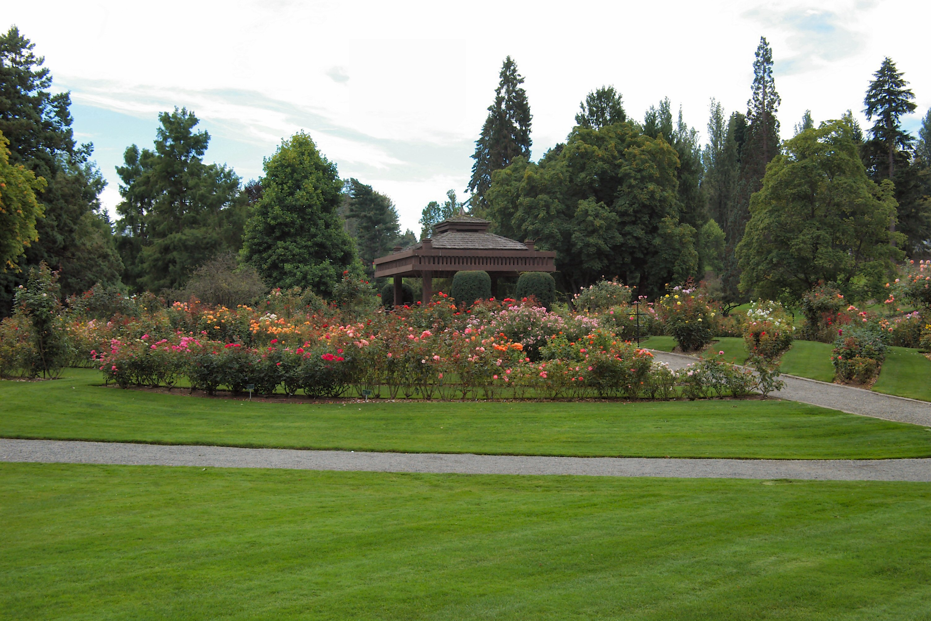 IMGP1073.JPG