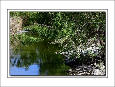 San Joaquin Wildlife Sanctuary