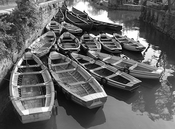 boats294.jpg