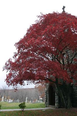 IMG_0274_IMG_0704.jpg