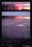 181_8124_g.jpg