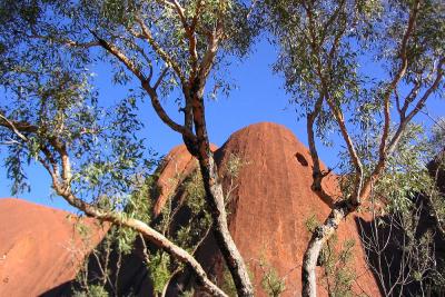 Ayers Rock