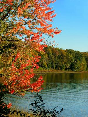 Autumn on the river