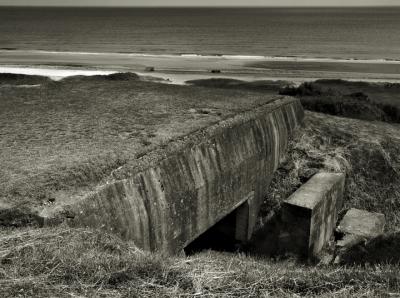 BUNKER_60_YSKY.jpg