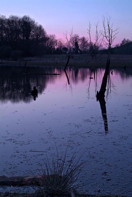 Evening at Peace Park, Glenboi