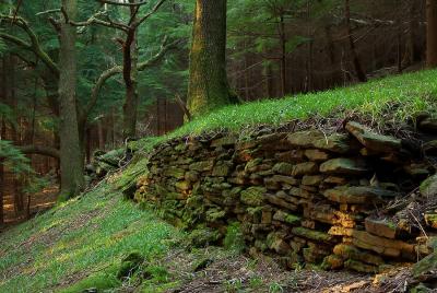 Old tramway banking, Trawscoed, Mountain Ash.