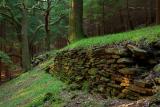 Old tramway banking, Trawscoed, Mountain Ash.