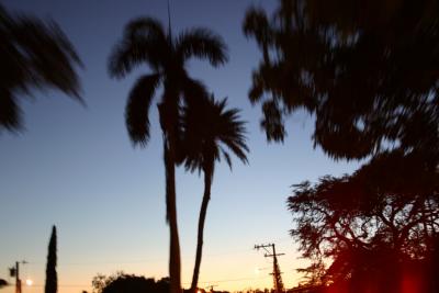 Evening outlines