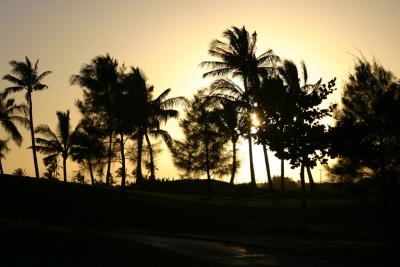Golfing sunset