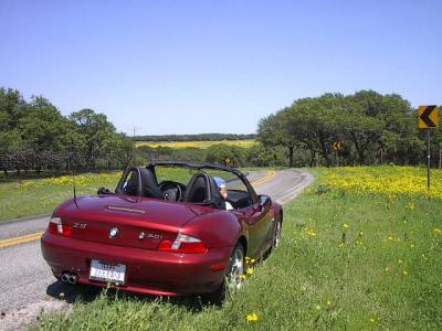 2001 Z3 3.0i Wildflowers