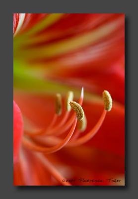 CRW_5339