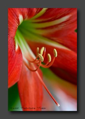 CRW_5326