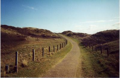 walking path in the dunes
