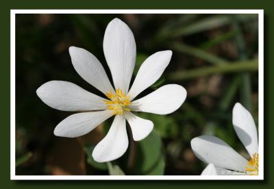CRW_8430.jpg