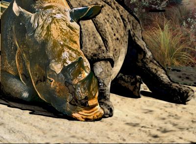Rhino Challenge.jpg