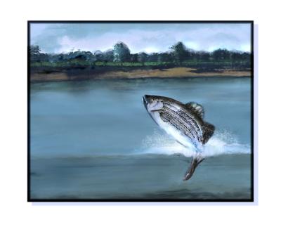 Fish Painting