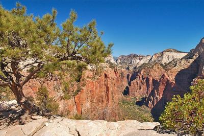 View from Angel's Landing Trail