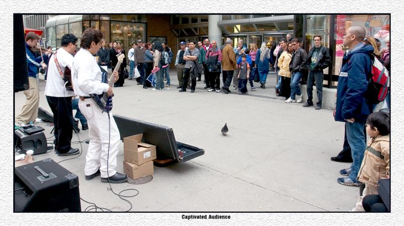 Captivated Audience