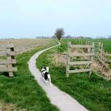 Joop's Dog Log - Sunday Apr 25
