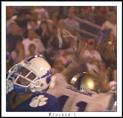 u43/hiramhornets/medium/33565871.Ringgold1460CloseupWeb.jpg