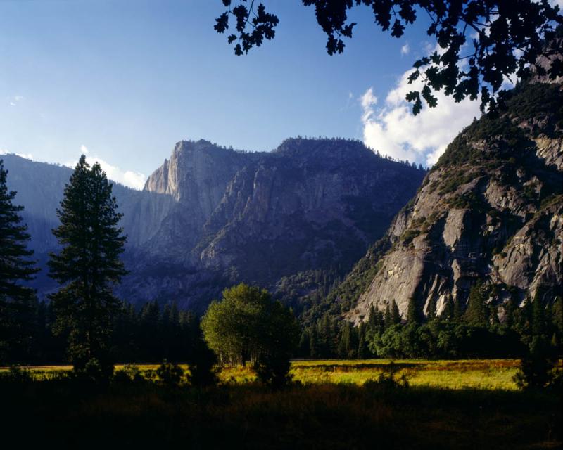 Ahwahnee Meadow [4x5]