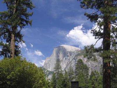 Half Dome from Curry Village [D]