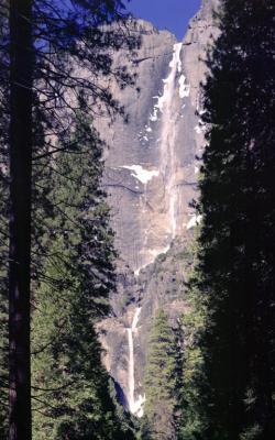 Yosemite Falls [4x5]