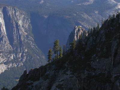 View from Taft Point [D]