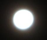 Silver Moon