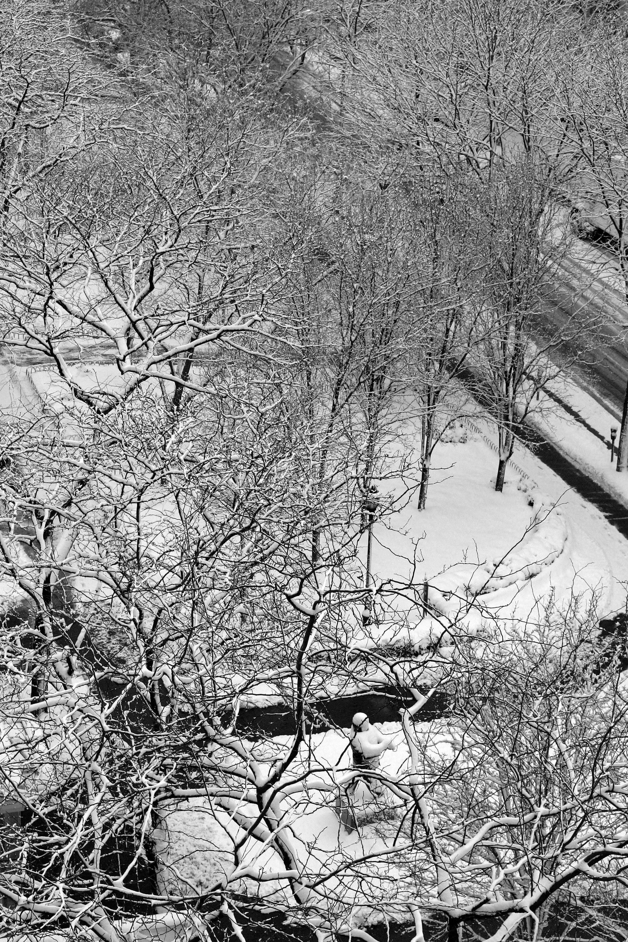 LaGuardia Place Gardens