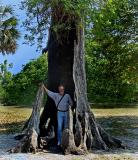 Burned Out Tree