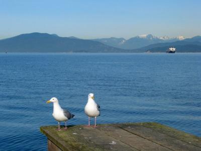 English Bay UBC Vancouver