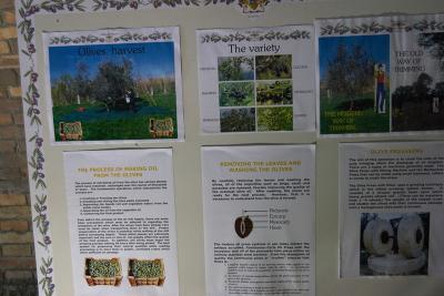 Olive oil making instructions.jpg