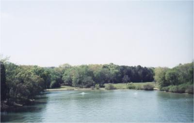 Lake Winnie