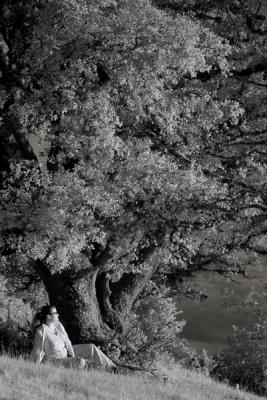 Infrared3_Email.jpg