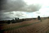 Countryside-3-d.jpg