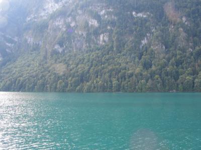 Amazingly green waters