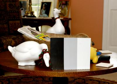 duck-w-wb-card-1.jpg