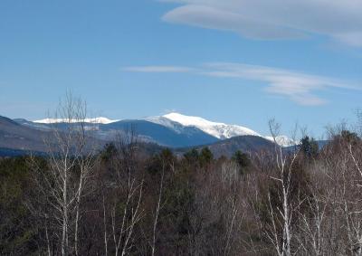 snow on the mountain.jpg