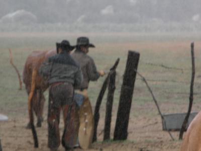 Cowboys putting horses away in the rain