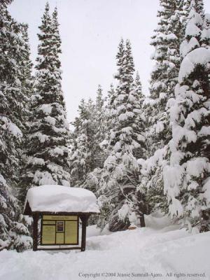 Emerald Lake Trailhead