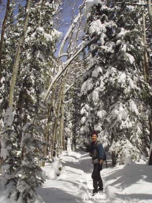 Lots of Snow!