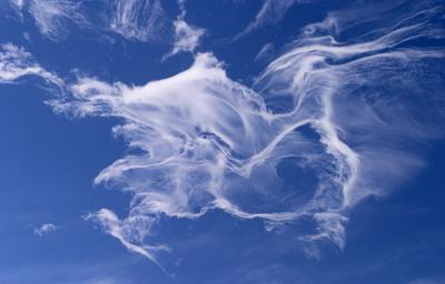 u43/jeffkirk1/medium/34301278.filmcloud.jpg