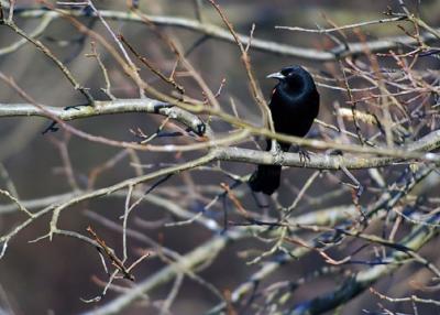 DSC_2314-small.jpg