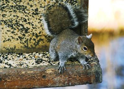 DSC_2318-small.jpg