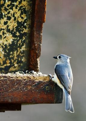 DSC_2370-small.jpg