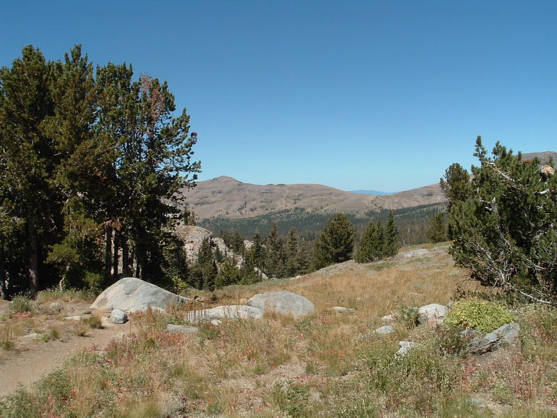 DSCF0908.JPG