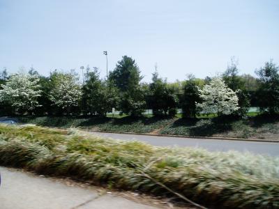 the view from the car going to the airport