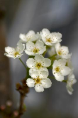 CRW_3420.jpg