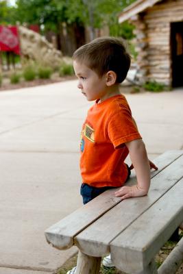 CRW_8381.jpg